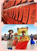 多米機械：元宵佳節(jié)祈團圓，愿你好夢樣樣圓！